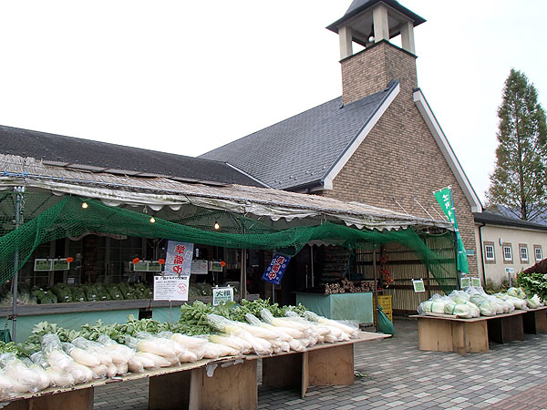 鳥居原ふれあいの館